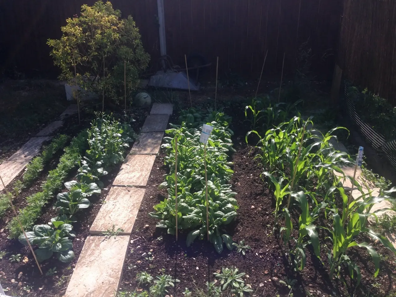 Growth in the Market for Plant Growth Regulators Expected to Reach US$9.5 Billion by 2034, with a...