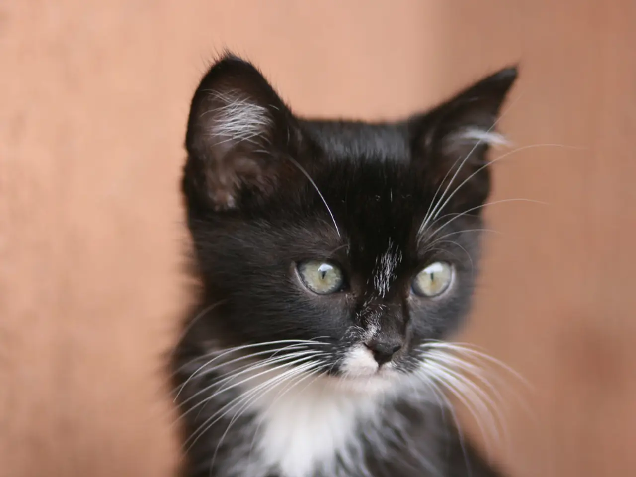 Auction announcement for a scarcely used 2022 BMW M5 CS, boasting a mere 1,900 miles on the...