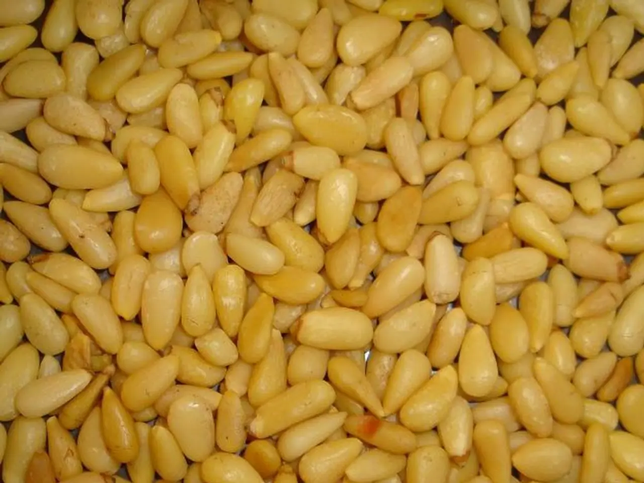 Corn Trades Stably in the Morning Hours of Thursday