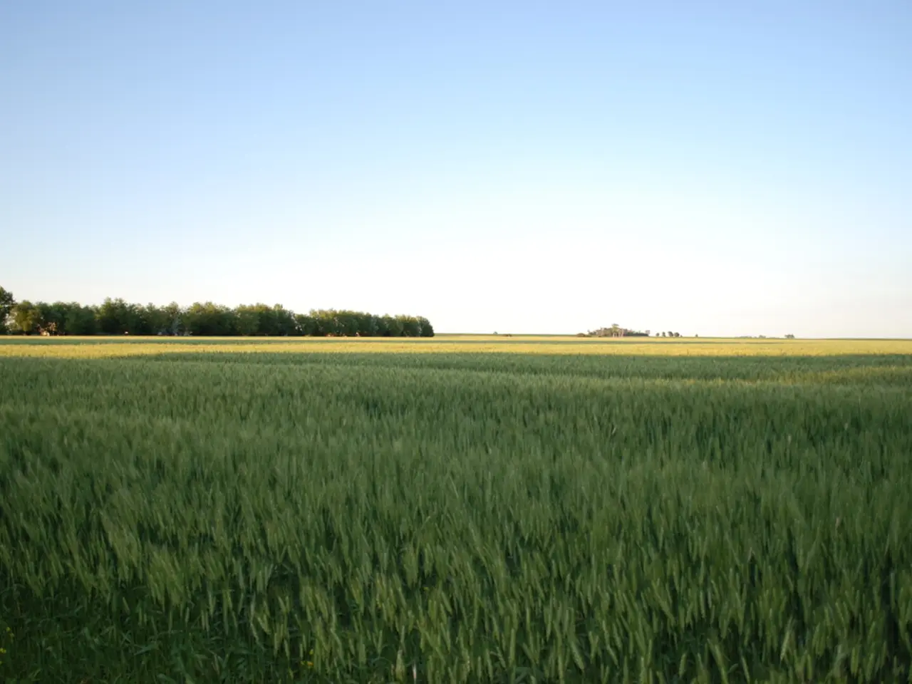 Opinions of Ireland's Business Leaders Regarding the Nation's Economic Forecast