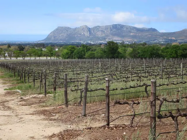 Transforming Agricultural Terrain into Residential Zone: A Step-by-Step Guide