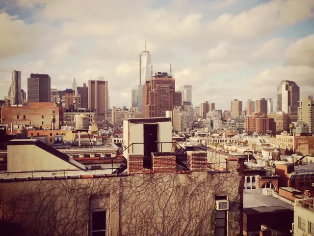 Advertisement: Insights from Real Estate Professionals