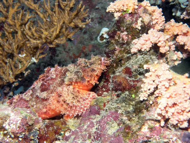 Japan Proposes Pioneering Deep-Sea Mineral Extraction Project