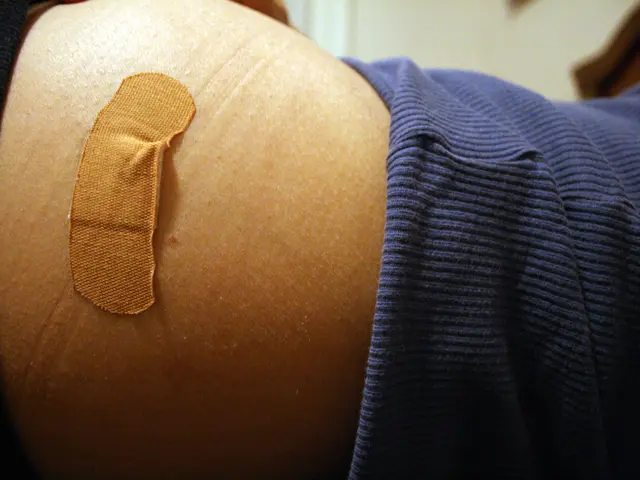 Roadmap for novice homebuyers on obtaining mortgage loans and government assistance programs