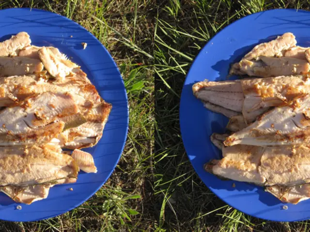 Marfrig to Focus on Debt Reduction and BRF Merger Plans