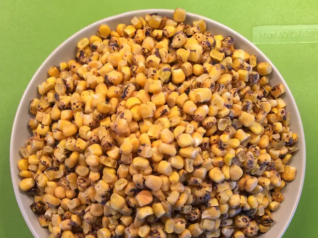 Funding Acquired: $8.5 Million Series A for Enhancing Little Sesame's Hummus Production