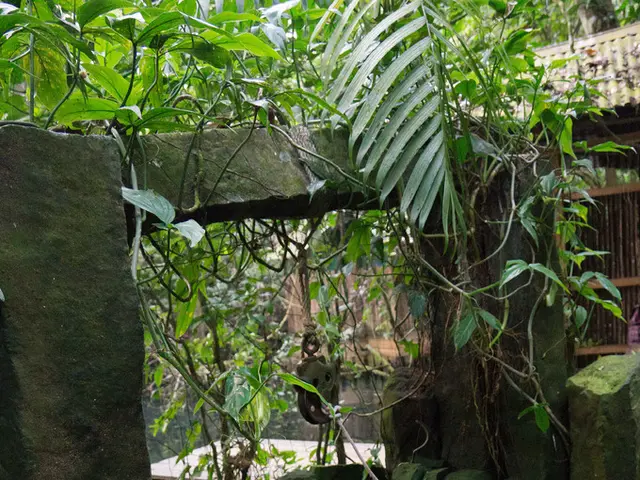 Developing Shale Resources Across the County: Insights Gleaned from Jefferson County, Ohio