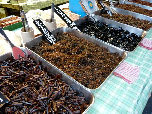 Slowing Down Trade Leads to Decrease in U.S. Imports Due to Tariffs