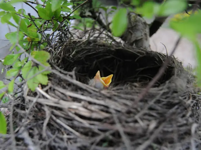 Nestle's Anticipated Income Falls Below the Level of Bond Returns