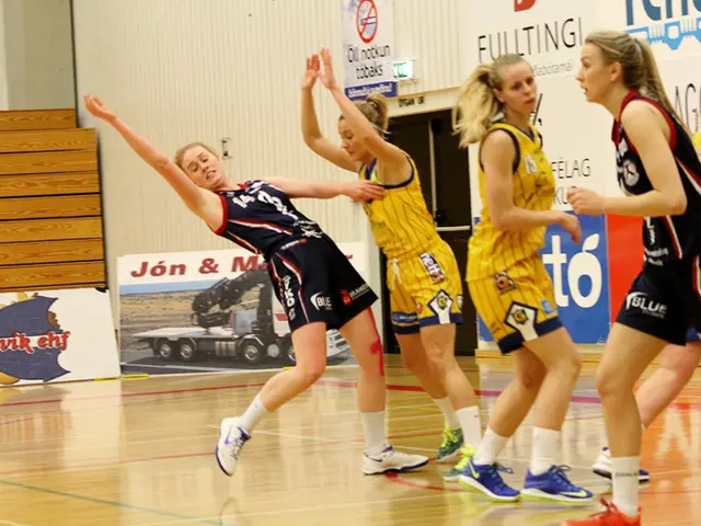 New posts proposed by Meissner concerning the establishment of fresh judicial positions and legal...