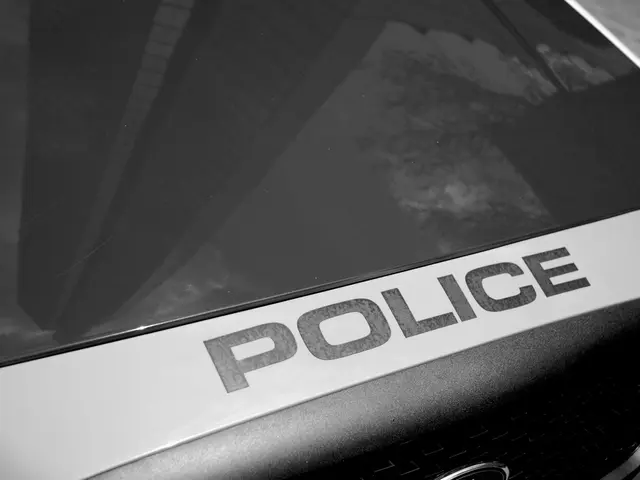 Investigation reveals over €4.5 million in loans to affiliated firms at Fade Street Social