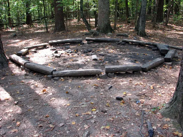 Invest in Greenery for Inflation Protection: Forest Acquisition