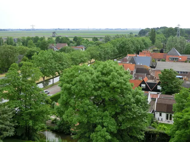 Investigative report on the windmill in Straubenhardt: potential development of splinter fungus?