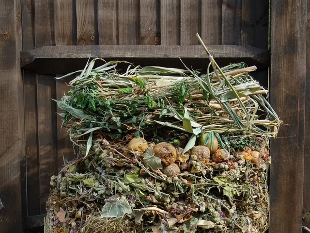 Harnessing energy from organic waste decomposition through anaerobic digestion process