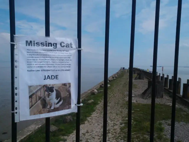 Saudi rig company ADES agrees to purchase Norwegian rival Shelf in a $380 million transaction