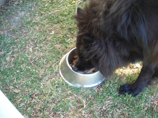 Southeastern Asia receives a new credit fund launch by BlackSoil, expanding the company's...