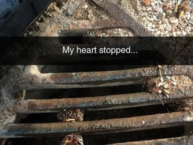 XRP Prepares for Wave 5 surge as its price repositions for the next upward movement