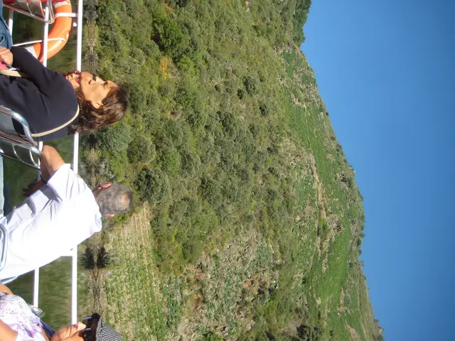 Island authorities denounce Leboncoin following accusations of tax evasion in the tourism sector on...