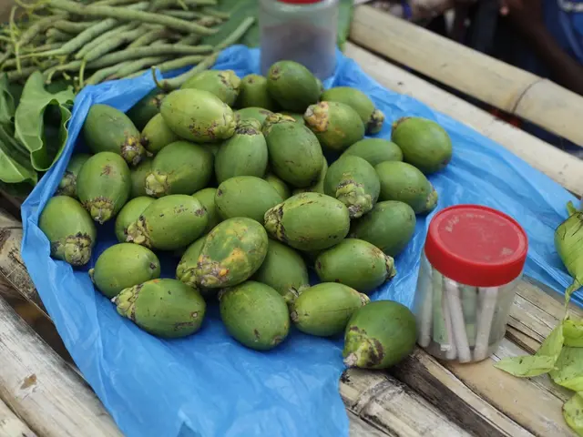 Biomass Gains Momentum