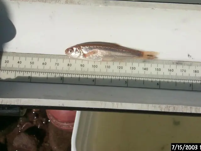 EU's economic expansion decelerates during the second three months