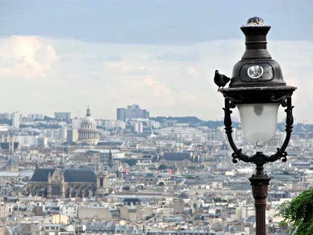 Anticipated Financial Overview for Main Street Capital in Q2 2025