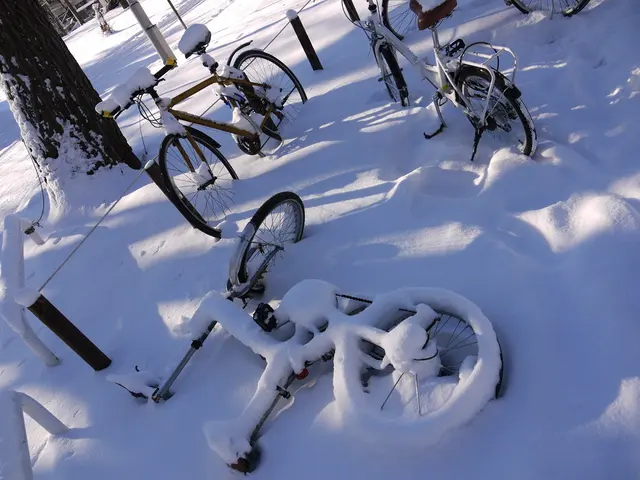 Revolution in Snow Driving Technology: Chains and Socks Eliminated in South Korea!
