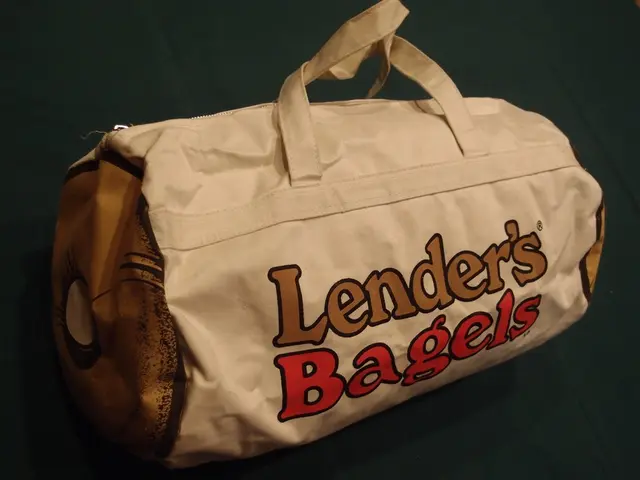 Loans Dispensed Across Borders: Structure, Role, and Practical Illustrations