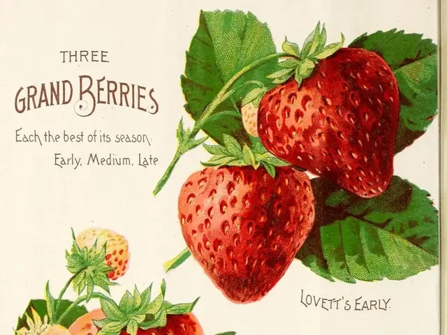 Portugal's exports are experiencing a shift due to the current US trade policy.