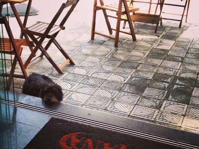 Increased polyols and polyurethane market sales projected at over USD 72.0 billion | 4.6% annual...