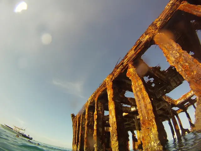 Rapid descent persists in the trans-Pacific container shipping rates, according to industry expert