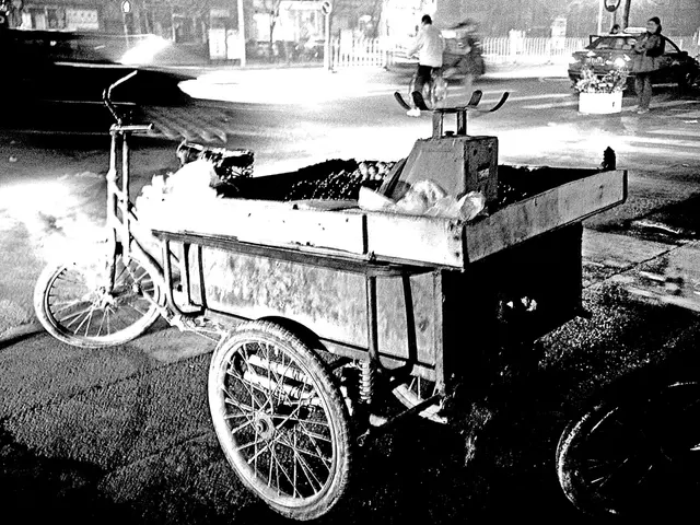 Complimentary highway journey on August 12 in celebration of Mother's Day