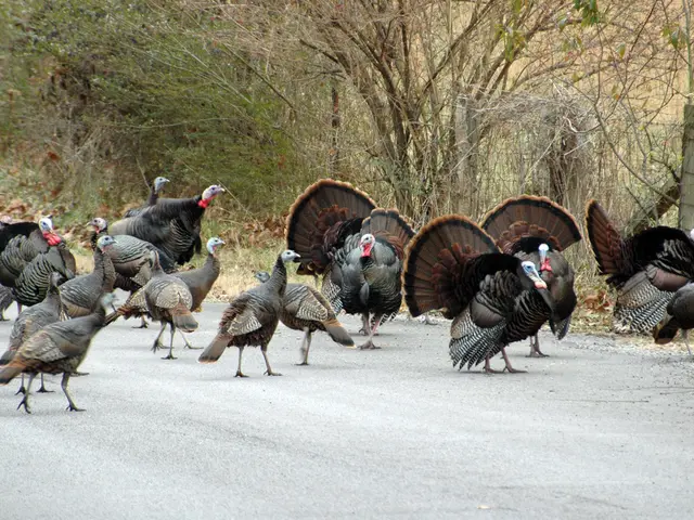 Turkey's transport infrastructure requires an investment of approximately $116.42 billion by the...