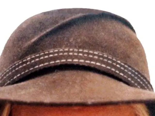 The Value of Flexi Cap Fund Investments:worthwhile or naive?