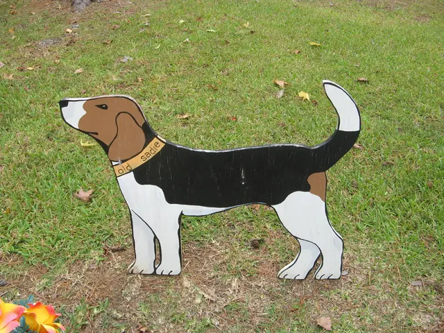 Dogecoin Forecast by Leading Expert: Revisiting $0.23 Mark amidst DOGE Recovery