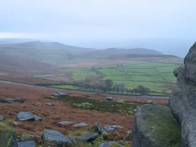 Features of a Thriving City