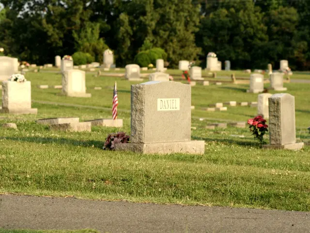 Unraveling Inheritance Laws Without a Will: Essential Points and Consequences