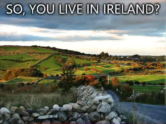 Insurance giant Munich Re experiences a significant decline - Plummeting insurance rates observed