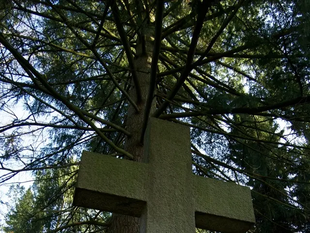 Exploring Beyond Your Profession's Boundaries for Innovative Advancements