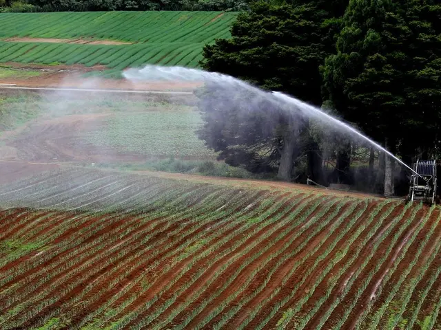 Italian biomethane producer receives €245 million investment from Infranity