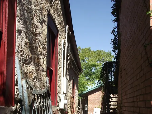 China's iron ore prices continue to rise, as traders anticipate potential decreases in steel...