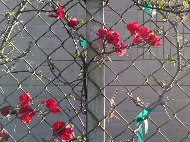 Guidelines for Consistent Property Investments on a Regular Basis