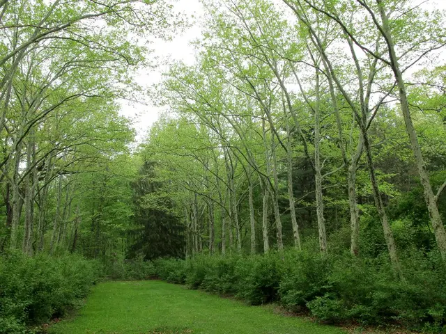 Investment firm British International commits £50 million to accelerate Vietnam's shift towards a...