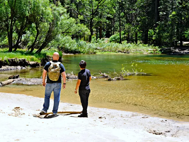 "Travis Hill Outlines Strategies for Enhancing de novos Development: Three Key Approaches"