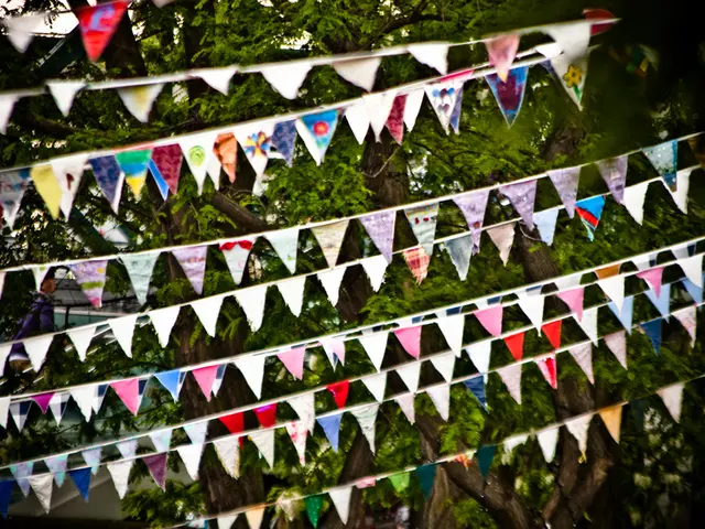 Capitalizing on the advantages of preliminary financial contributions