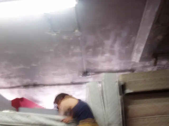 Temporary Sealy consents to offload approximately 175 outlets, amid FTC case's impending presence