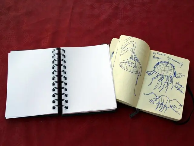 Potential varied outcomes following the conclusion of US tariff disputes