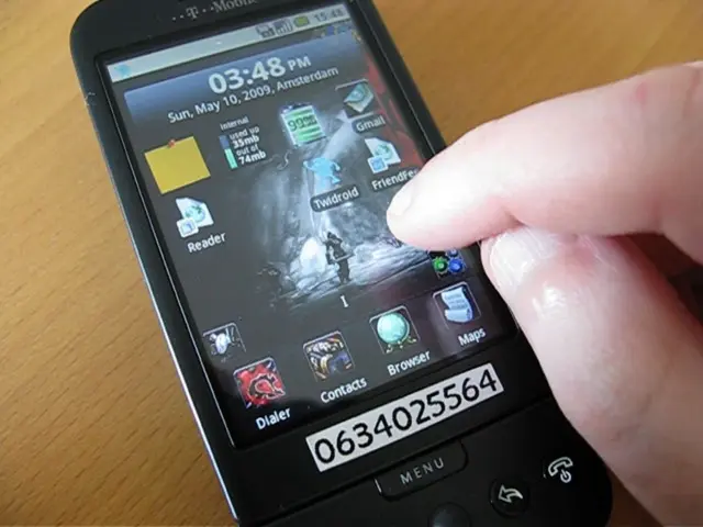 Autumn Scrutiny: Identifying Individuals Involved in Mobile Fund Transfers