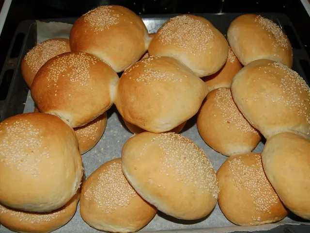 Enhancing Efficiency in Rubber Production: Insights for Boosted Output in the Manufacturing Sector