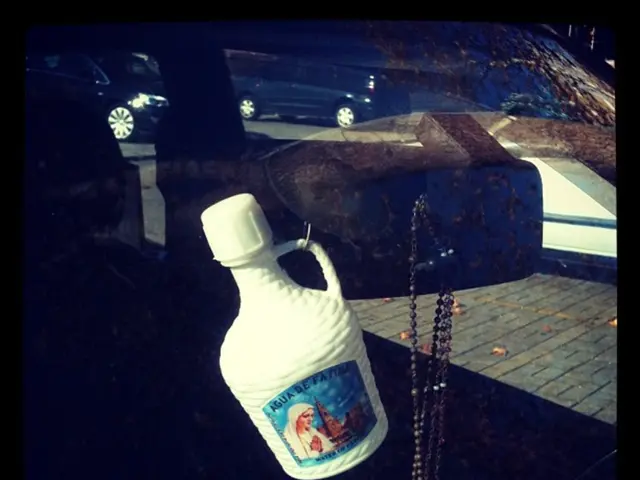 Competition looms for Citroen's budget-friendly electric e-C3 as competitors gear up for challenge