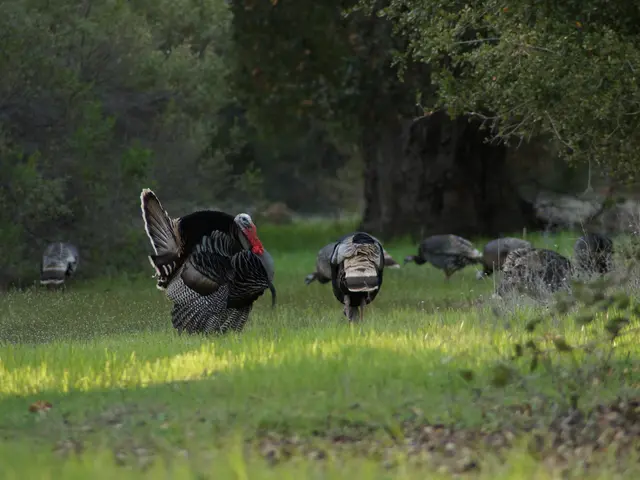 Turkish State Fund offloads $100 million shares in VakifBank to foreign investors.